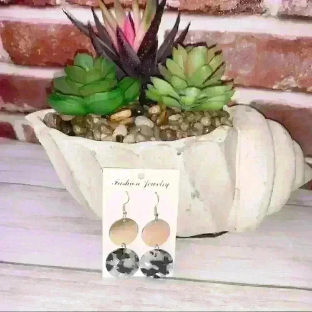 Acrylic resin circle multi color dangle earring